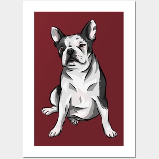 Cute French Bully! | French Bulldog Posters and Art